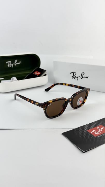 Rayban Zaya Tiger Brown 4456