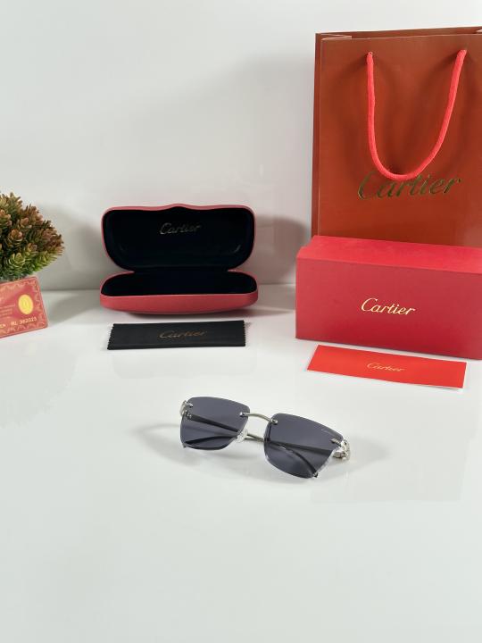 Cartier 0615 Silver Black
