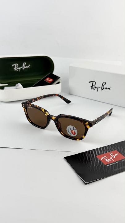 Rayban Zaya Tiger Brown 4456